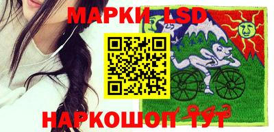 стаф Славгород