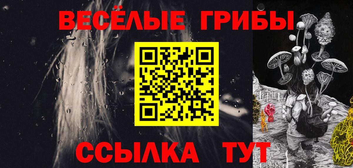 как найти наркотики  Галлюциногенные грибы Psilocybine cubensis  Вход с VPN  Галлюциногенные грибы мухоморы  Нурлат 